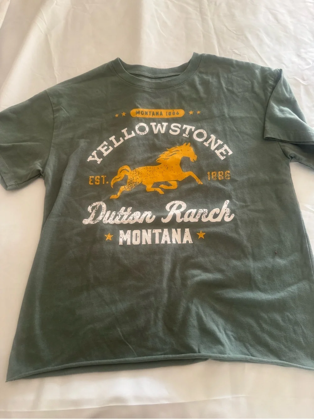 Yellowstone Dutton Ranch Kids Graphic Tee - Green